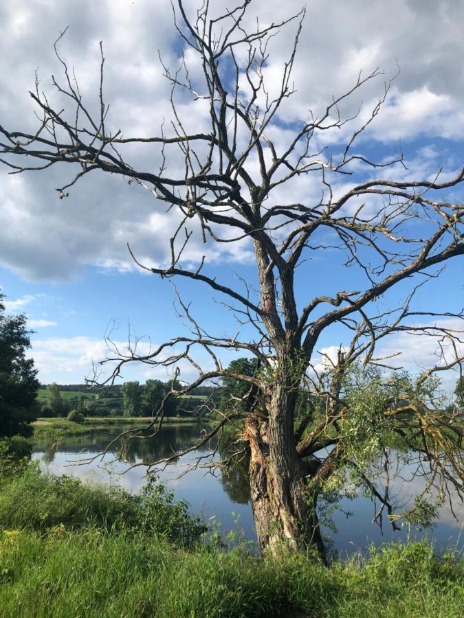 Idyllische Ferienwohnungen In Mossendorf Burglengenfeld Exterior foto